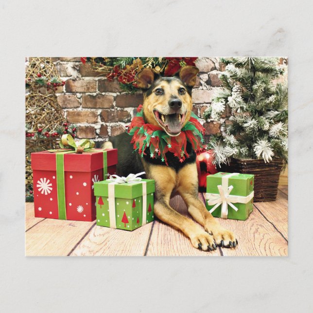 Postal Festiva Navidades - German Shepherd X - Bailey (Anverso)