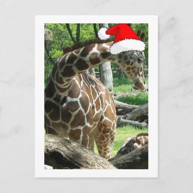 Postal Festiva Navidades Giraffe (Anverso)