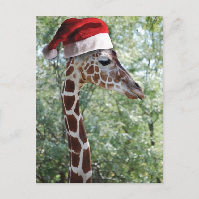 Postal Festiva Navidades Giraffe (Anverso)
