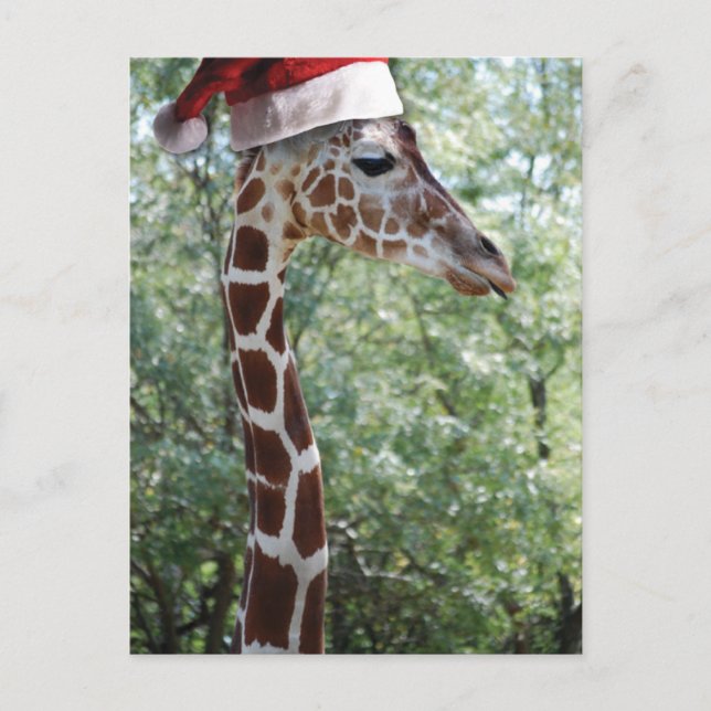 Postal Festiva Navidades Giraffe Con Santa Hat (Anverso)