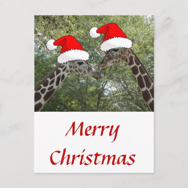 Postal Festiva Navidades Giraffes (Anverso)