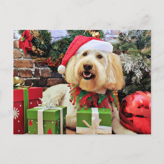Postal Festiva Navidades - Golden Doodle - Bella (Anverso)