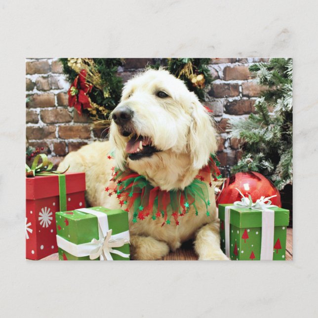 Postal Festiva Navidades - Golden Doodle - Lacey (Anverso)
