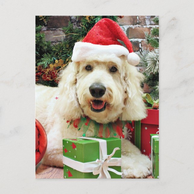 Postal Festiva Navidades - Golden Doodle - Peyton (Anverso)