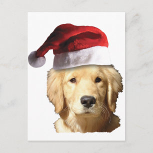 Postal Festiva Navidades Golden Retriever