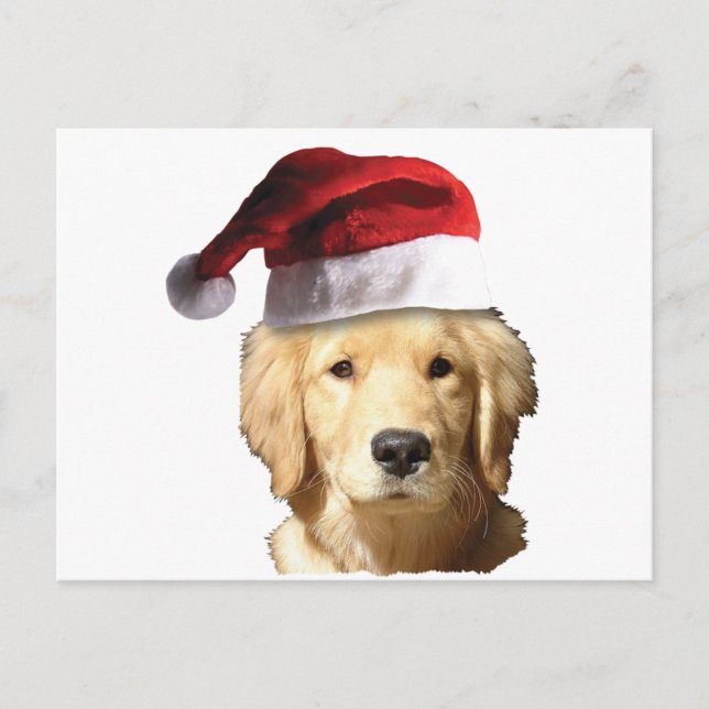 Postal Festiva Navidades Golden Retriever (Anverso)