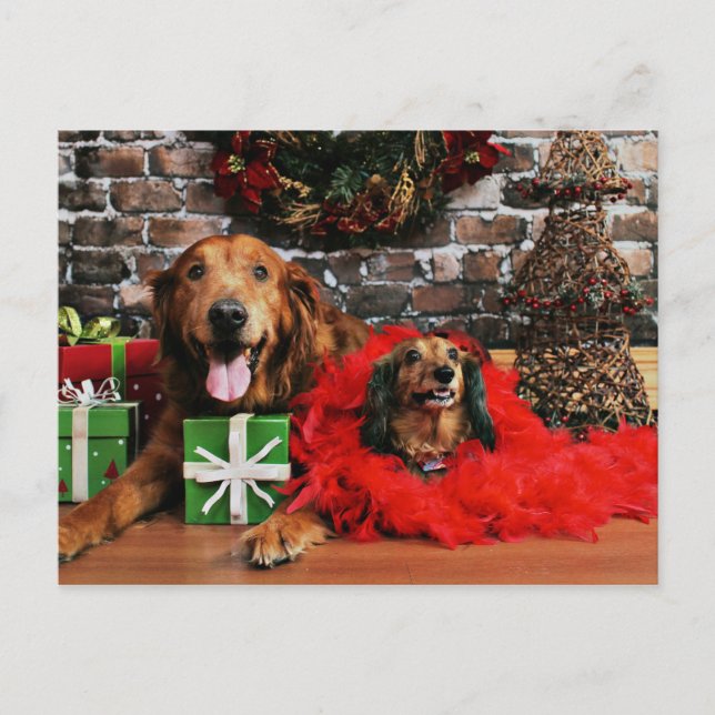 Postal Festiva Navidades - Golden Retriever Max - Doxie - Chloe (Anverso)