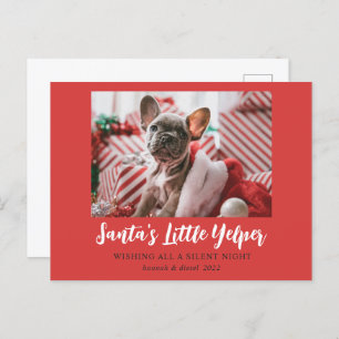 Postal Festiva Navidades graciosos adoran foto de Mascota rojo bl