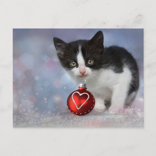 Postal Festiva Navidades Heart Ornament Kitten (Anverso)