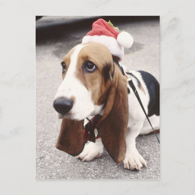 Postal Festiva Navidades Hound (Anverso)