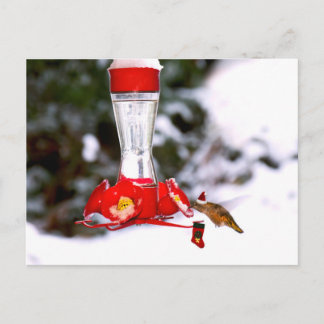 Postal Festiva Navidades Hummingbird y Nieve