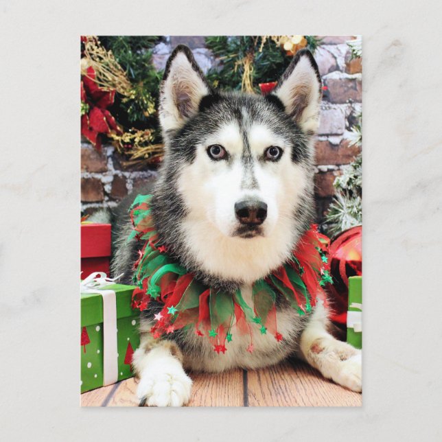 Postal Festiva Navidades - Husky siberiano - Nika (Anverso)
