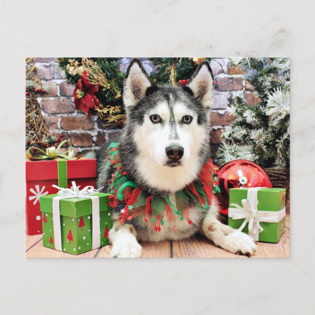 Postal Festiva Navidades - Husky siberiano - Nika (Anverso)