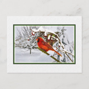 Postal Festiva Navidades, invierno, pájaro cardinal, nieve, posta