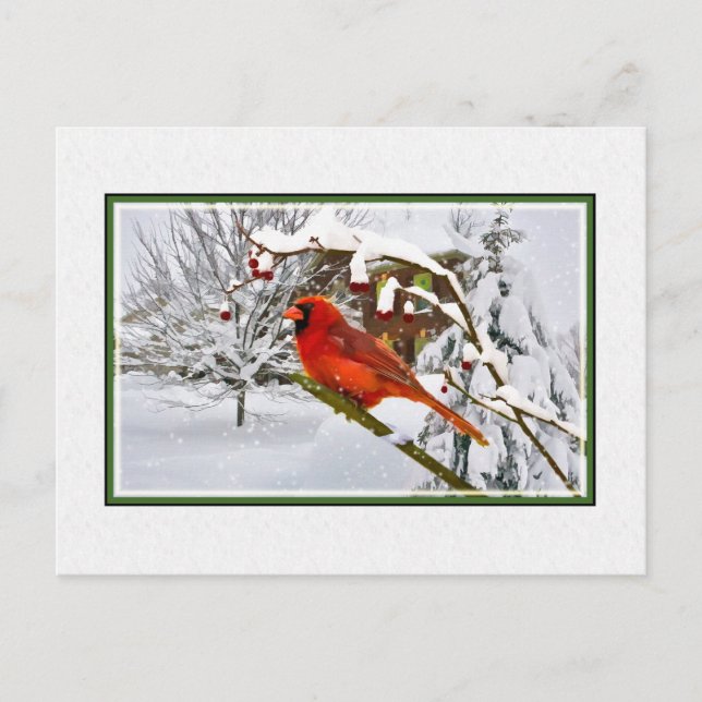 Postal Festiva Navidades, invierno, pájaro cardinal, nieve, posta (Anverso)