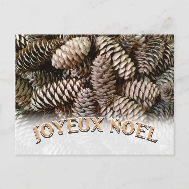 Postal Festiva Navidades Joyeux Noel Holiday Pine Cone (Anverso)