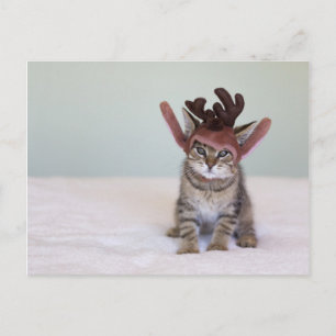 Postal Festiva Navidades Kitten