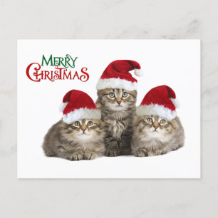 Postal Festiva Navidades kIttens