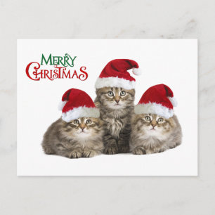 Postal Festiva Navidades kIttens