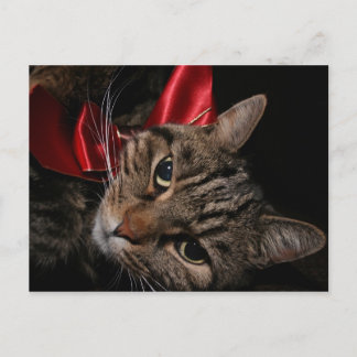 Postal Festiva Navidades Kitty