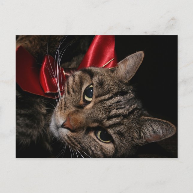 Postal Festiva Navidades Kitty (Anverso)