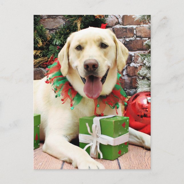 Postal Festiva Navidades - Labrador Amarillo - Strider (Anverso)