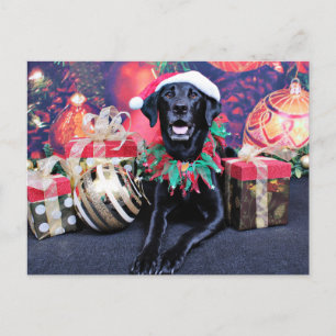 Postal Festiva Navidades - Labrador - Cooper