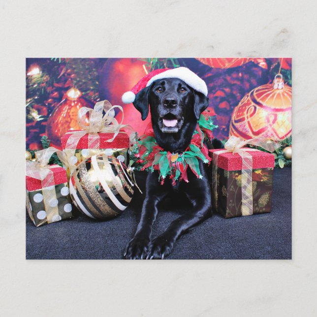 Postal Festiva Navidades - Labrador - Cooper (Anverso)