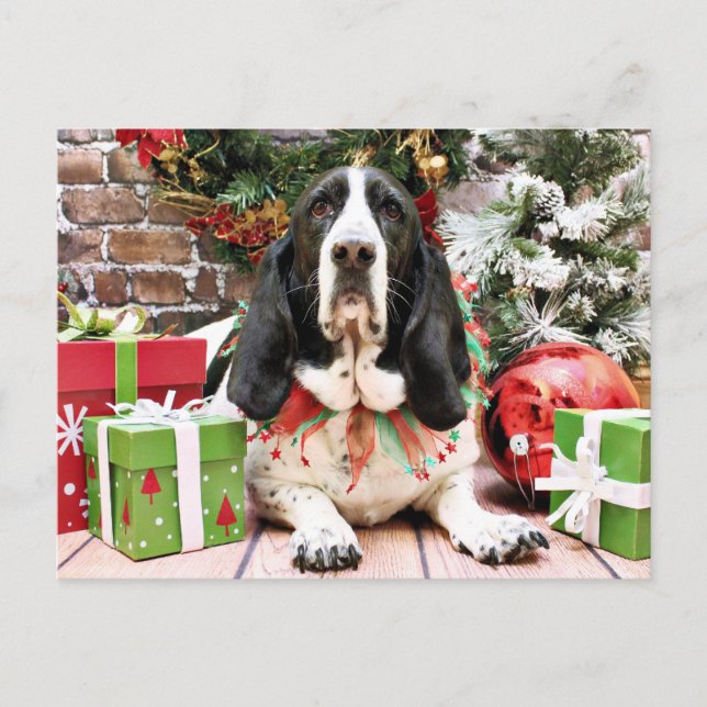 Postal Festiva Navidades - Libra Basset - Jazmín (Anverso)
