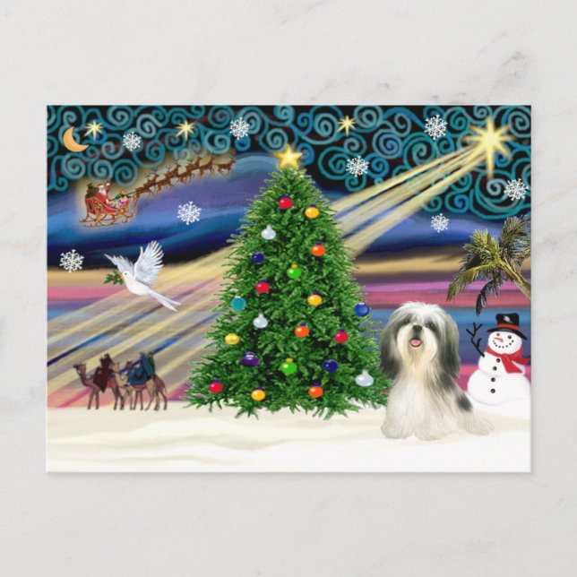 Postal Festiva Navidades Magia Shih Tzu 4 (Anverso)