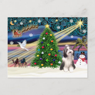 Postal Festiva Navidades Magic Bearded Collie 4