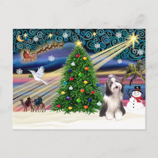 Postal Festiva Navidades Magic Bearded Collie 4 (Anverso)