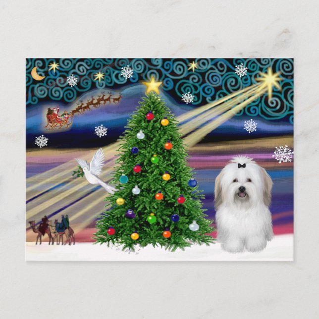 Postal Festiva Navidades Magic Coton De Tulear (Anverso)
