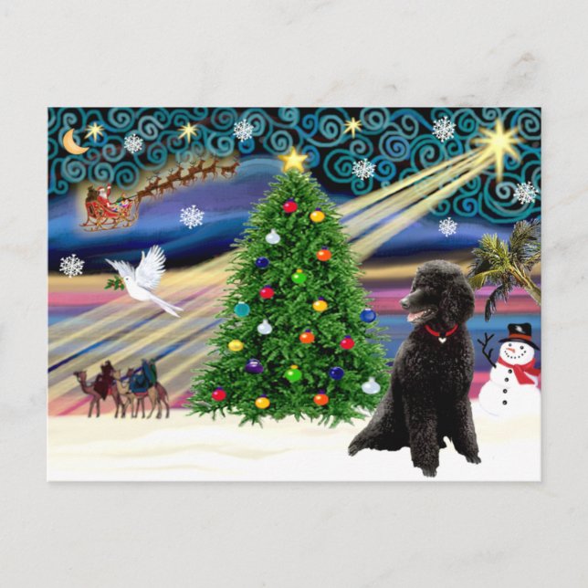 Postal Festiva Navidades Magic Poodle (estándar negro) (Anverso)