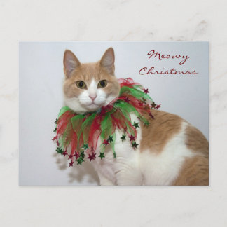 Postal Festiva Navidades Meowy