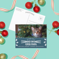 Navidades Meowy | Foto de festividad de gato