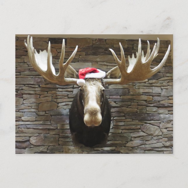 Postal Festiva Navidades Moose (Anverso)