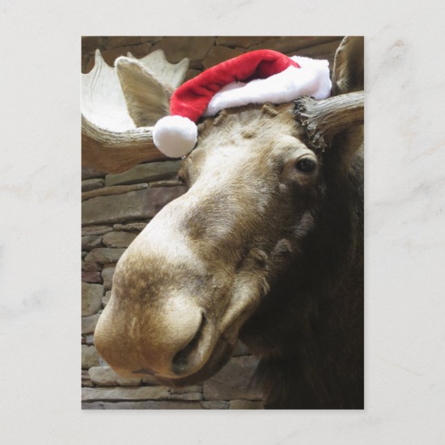 Postal Festiva Navidades Moose (Anverso)
