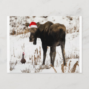 Postal Festiva Navidades Moose y Duck