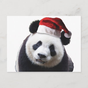 Postal Festiva Navidades Panda Bear con Santa Hat