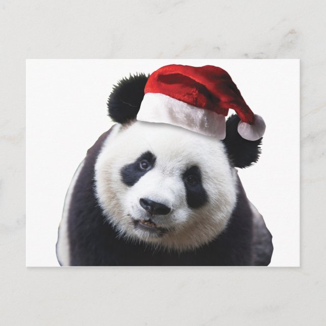 Postal Festiva Navidades Panda Bear con Santa Hat (Anverso)