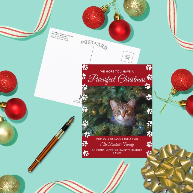 Postal Festiva Navidades perfectos | Foto de festividad de gato (Subido por el creador)