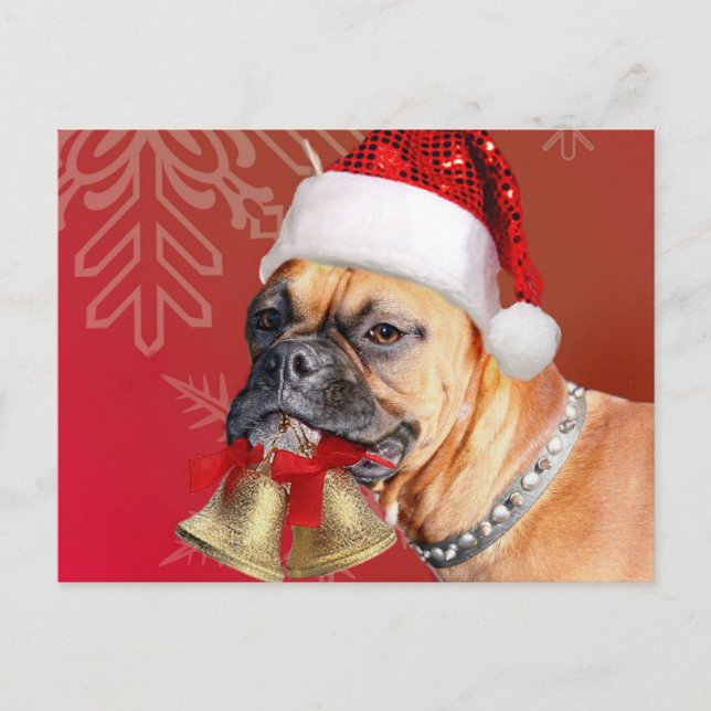 Postal Festiva Navidades Perro Boxer (Anverso)