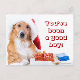 Postal Festiva Navidades perro con corpiño y regalos coloridos