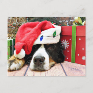 Postal Festiva Navidades - Perro de montaña de Bernese - Mya