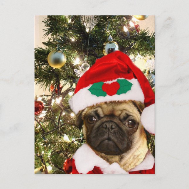 Postal Festiva Navidades Perro Pug (Anverso)