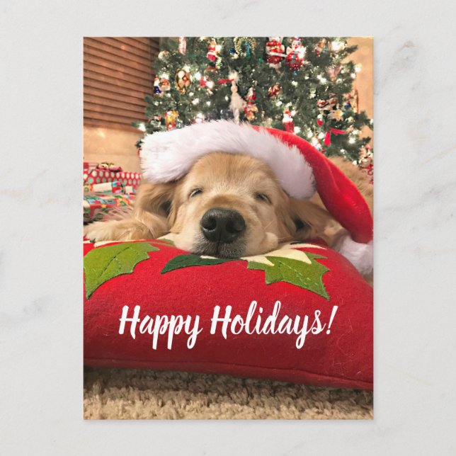 Postal Festiva Navidades Perro recuperador de oro duerme bajo el  (Anverso)