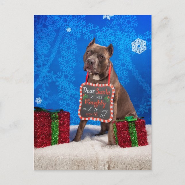 Postal Festiva Navidades Pit-Bull (Anverso)