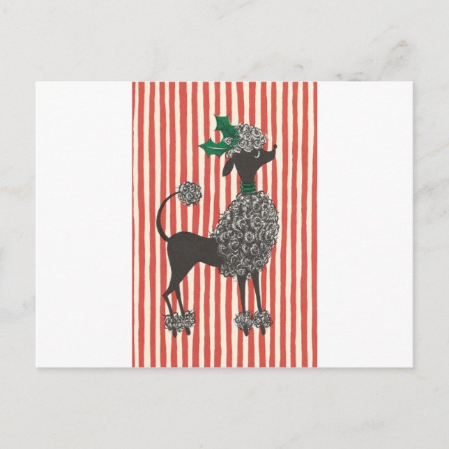 Postal Festiva Navidades Poodle (Anverso)