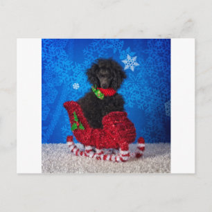 Postal Festiva Navidades Poodle